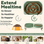 Elevated Slow Feeder Dog Bowls with Splash Proof Stand, Slow Eating 5X | 6.5″ Dog Slow Feeding Bowls & 6.1″ Dog Food Dish, Non-Slip Raised Food and Water Bowl Set for Small and Medium Breeds, Green