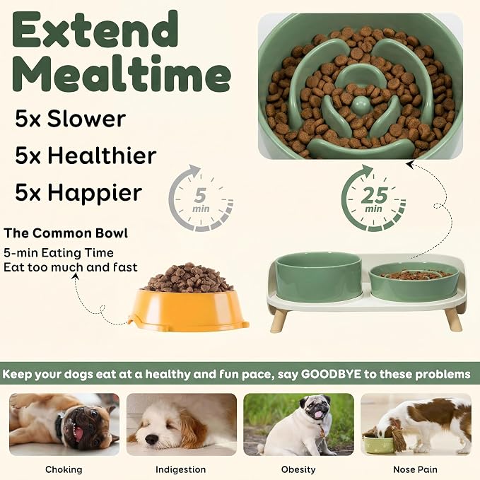 Elevated Slow Feeder Dog Bowls with Splash Proof Stand, Slow Eating 5X | 6.5″ Dog Slow Feeding Bowls & 6.1″ Dog Food Dish, Non-Slip Raised Food and Water Bowl Set for Small and Medium Breeds, Green