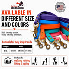 Gummy K9 Dog Leash, Biothane, Dog Training Leash, Made in The USA, 6 Feet, Various Sizes & Colors (5/8, Orange)