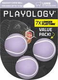 Playology Dog Toys | Squeaky Chew Ball for Dogs, Value 3-Pack | Lamb Scented Small Dog Balls | Bouncy Floating Chew Toys for Fetch