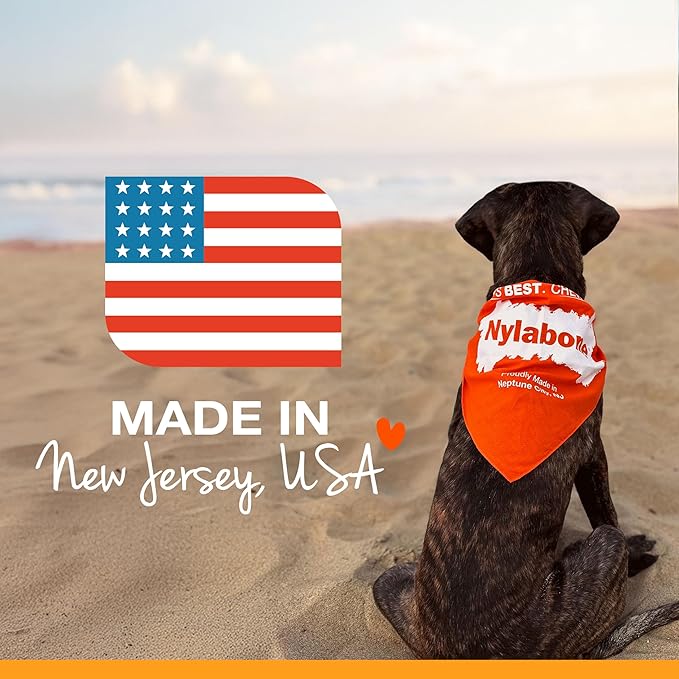 Nylabone Power Chew Monster Bone Dog Chew Toy, Chicken Flavor, XX-Large | Durable dog toys for aggressive chewers, long lasting, discourages destructive chewing, flavor throughout, for dogs 50++ lbs