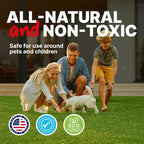 MAX Urine & Odor Turf Detox Double-Strength Enzyme Cleaner, 32 oz | Sprayer and odor eliminator for artificial grass, turf, concrete and patios; enzymatic pet urine cleaner for dogs and cats