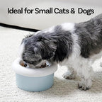 Donut Bowl Elevated Ceramic Cat Bowl with Stand, Raised Whisker-Friendly Bowl for Cats & Small Dogs, Patented Donut Design, Made in Korea (Pink, Donut Only)