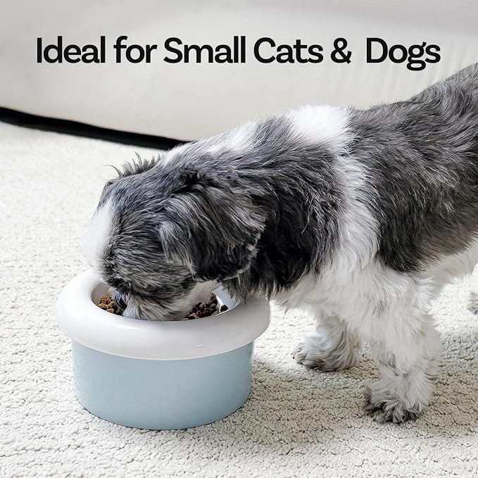 Donut Bowl Elevated Ceramic Cat Bowl with Stand, Raised Whisker-Friendly Bowl for Cats & Small Dogs, Patented Donut Design, Made in Korea (Blue, Donut Only)