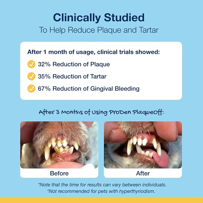 ProDen PlaqueOff Powder for Cats - Cat Plaque Remover - 40g | VOHC Approved Pet Dental Powder - Cat Dental Powder to Reduce Tartar and Support Fresh Breath - Feline Oral Care