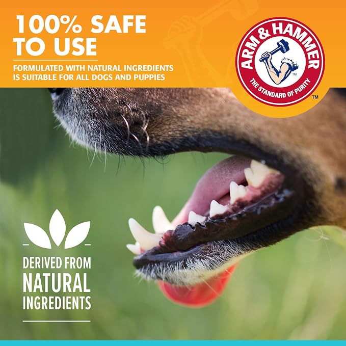 Arm & Hammer Fresh Breath Enzymatic Dog Toothpaste, Vanilla Ginger, 2.5 Oz | Baking soda dental gel eliminates bad breath, safe for daily use in puppies and adult dogs