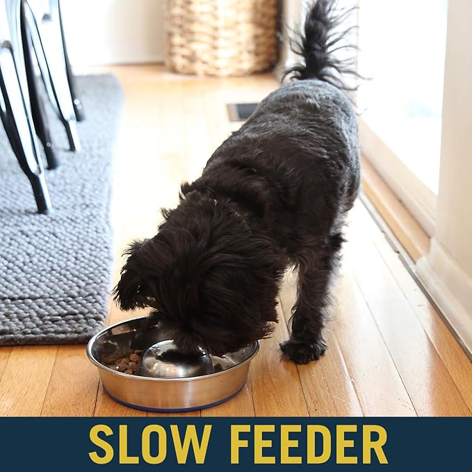 OurPets DuraPet Slow Feed Premium Stainless Steel Dog Bowl, Silver, Small (2040010300) | Helps pace rapid eaters at mealtime, durable and easy to clean, raised center dome design, a reliable everyday dish for pups
