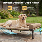 Veehoo Outdoor Elevated Dog Bed with Waterproof Bolster Cushion, Cooling | Raised Dog Bed with Removable & Washable Mat Topper, Breathable Mesh, Dog Couch Cot for Indoor Outdoor, 53", Large, Beige