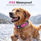 GPS Dog Collar Tracker 2-in-1,Reflective Waterproof Pet Collar,iOS-Only,No Monthly Fees,Unlimited Range,Dog Tracking Collar Pet Tracker,for Small Medium Large Dogs(XS (10.5"-13.5"), Hot Pink)