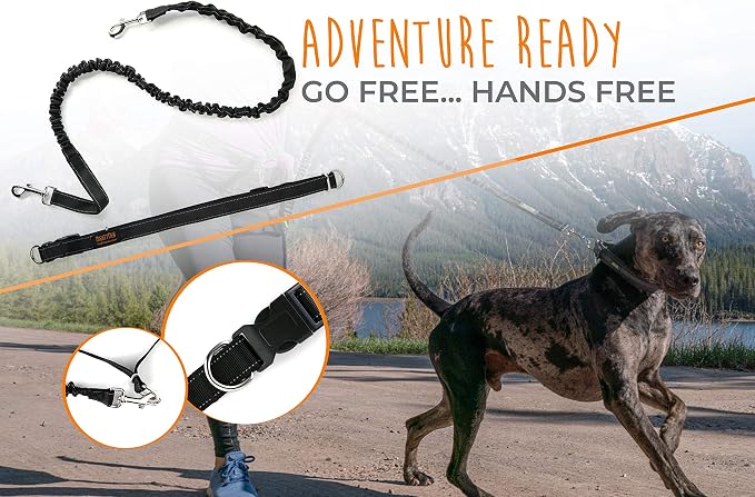 Mighty Paw Hands Free Dog Leash | Bungee Waist Leash for Dog Walking. Pet Running Hands Free Tether for Large, Medium & Small Breeds. Pet Waist Belt (36" - 48") Up to 150 lbs - Black