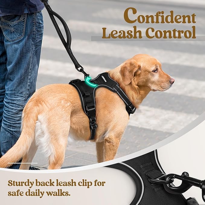 rabbitgoo Dog Harness, No Pull for Large Dogs with 2 Leash Clips, Pet Vest | No Choke with Handle, Adjustable Soft Padded, Reflective, Easy Control for Walking, Black, X-Large