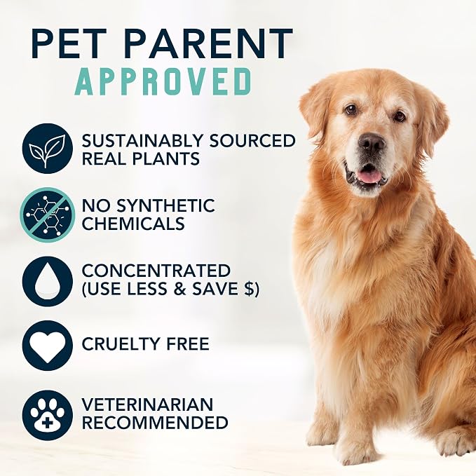 4Legger Organic Dog Shampoo, Cooling Peppermint Tea Tree Dog Shampoo for Skin Conditions and Hot Spot - 16 oz