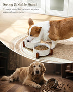 MALACASA Dog Bowl Set, Ceramic Bowls with Walnut Wood Stand, 3.5 Cups | Five-leaf grass and honeycomb design, non-slip base, for cats and dogs, about 26% heavier than similar ceramic bowls