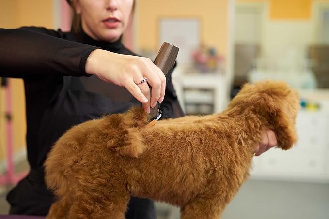 Wahl Professional Animal Bravura Lithium Ion Clipper, 41870-0425, Gunmetal | Professional-Grade Pet Clippers for Grooming, 5-in-1 Fine Adjustable Blade, Perfect for Cats and Small to Medium-Sized Dogs