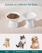 vancasso Extra Wide Elevated Cat Bowls 2-Pack, Shallow Ceramic Raised Cat Food and Water Bowls with 5.1" Height & 6.2" Wide - Anti Vomiting, Whisker Friendly for Senior Cats, and Small Dogs (White)