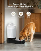 Automatic Dog Water Bowl Dispenser - 2.4 Gallon Gravity Pet Water Dispenser with 304 Stainless Steel Bowl, Dog Auto Feeders Bowls Self Waterer, Easy-Carry Handle for Large Dogs & Cats, Multi-Pet Home