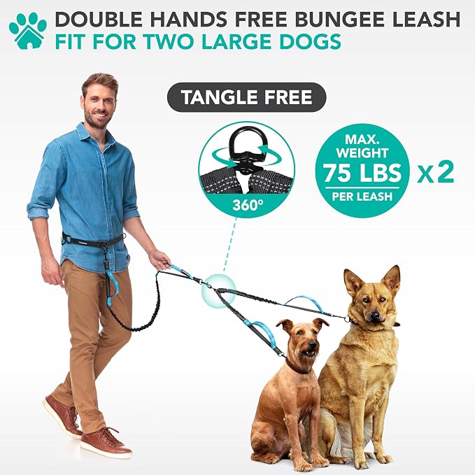 PetAmi Hands Free Double Dog Leash with Padded Lumbar Waist Belt, 360 No-Tangle Swivel Coupler, Bungee Shock Absorbing Dual Leash for Two Dogs Medium Large, Reflective, Turquoise