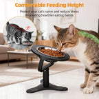 Raised Cat Bowls,Elevated Cat Bowls for Indoor Cats with Height-Adjustable Stand,Non-Slip Stainless Steel Cat Bowls,15° Tilted Cat Food Bowls (1 Pack)