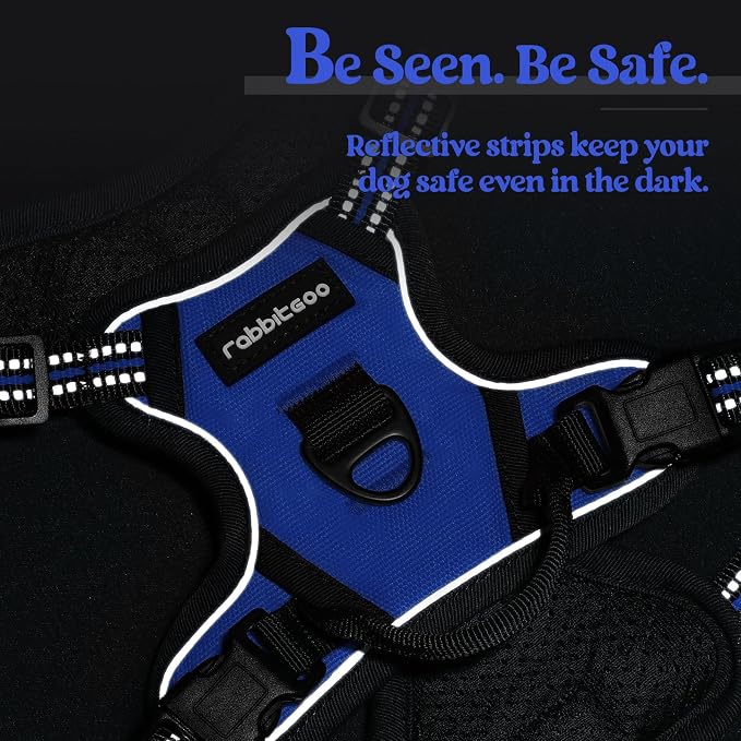 rabbitgoo Dog Harness, No Pull for Small Dogs with 2 Leash Clips, Pet Vest | No Choke with Handle, Adjustable Soft Padded, Reflective, Easy Control for Walking, Dazzling Blue, X-Small
