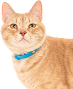 Breakaway Cat Collar - Soft, Comfortable, and Lightweight Safety Buckle Collar with ID Tag Ring for Outdoor Cats and Sensitive Skin Kittens (6 ⅞" to 10 ¼", Blue)