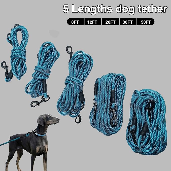 BTINESFUL Dog Tie Out Long Tether Rope Dog Lead for Yard 8/12/20/30/50/75ft | Large Medium Dogs Outdoor Training, Playing, Camping, or Backyard (12 Foot, Blue Black)