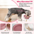 Elevated Slow Feeder Dog Bowls with Splash Proof Stand, Slow Eating 5X | 6.5″ Dog Slow Feeding Bowls & 6.1″ Dog Food Dish, Non-Slip Raised Food and Water Bowl Set for Small and Medium Breeds, Pink