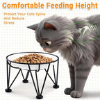 Elevated Ceramic Cat Bowls – Whisker-Friendly & Anti-Vomiting, Non-Slip Raised Cat Food Dishes – Stylish, Safe & Hygienic Feeding Set (2-Pack)