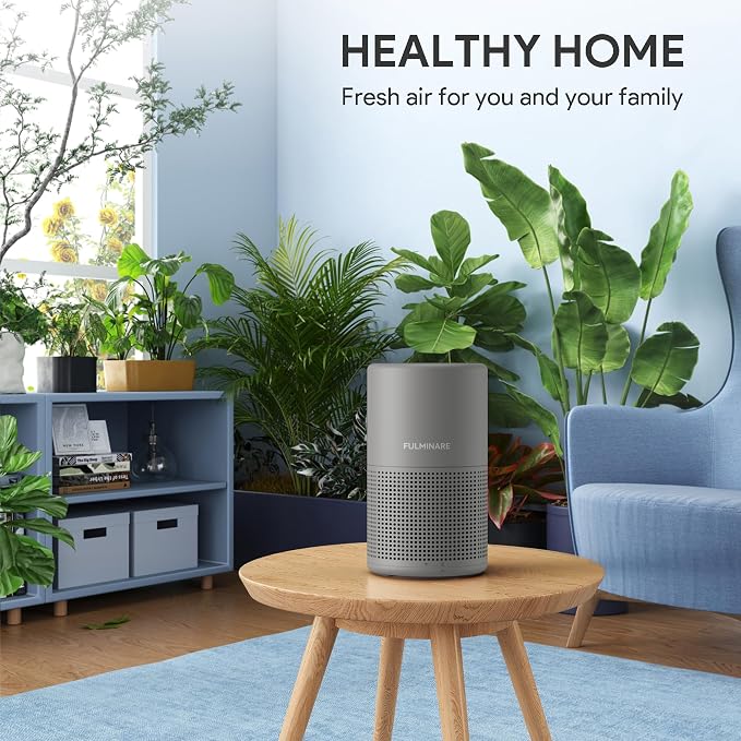 FULMINARE Air Purifiers for Bedroom H13 True HEPA Air Filter (Gray) | Remove Pet Hair, Smoke, Odors，Quiet Air Cleaner With Night Light, Portable Small Air Purifier for Home, Office, Living Room