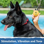 Educator ET-302 Mini E Collar for Dog Training with Remote - 1/2 Mile Range, Waterproof, 100 Blunt Stimulation Levels, Tone or Vibration Mode, Night Light for Small, Medium & Large Dogs (2 Dogs)