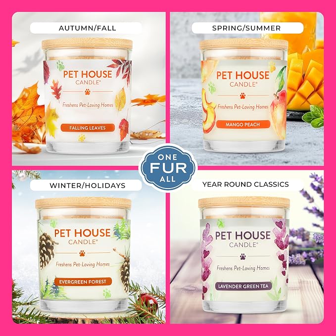 Pet House Candles, Scented Pet Candles, Natural Plant-Based, 60 Hour Burn Time - Pink Sugar, 9 oz, 2 Pack