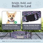 Lucky Love Dog, Comfortable, Soft, Cute Female Dog Collar for Small Dogs, Black & Purple Floral Print, Adjustable Nylon Collar, Primrose, Small