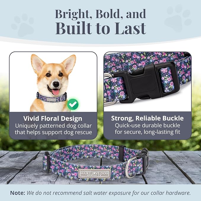 Lucky Love Dog, Comfortable, Soft, Cute Female Dog Collar for Small Dogs, Black & Purple Floral Print, Adjustable Nylon Collar, Primrose, Small