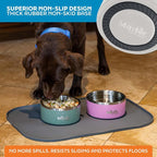 Master Pet Supply Stainless Steel Dog Bowls - 32 oz, Heavy Duty - Bone White, Double Wall Extra-Thick Insulated, Non-Slip Pet Water Bowl for Dogs, Cats & Pets, Anti Rust Metal, Dish Washer Safe