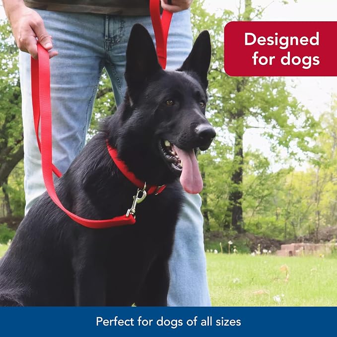 Coastal Pet Double-Ply Dog Leash - Bolt Snap Attachment to Collars and Harnesses - Nylon Dog Walking Leash for Small, Medium and Large Dogs - Purple - 1" x 6'