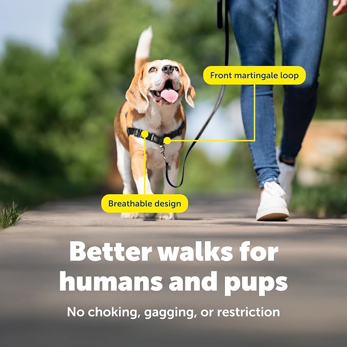 PetSafe Easy Walk No-Pull Dog Harness - Ultimate Harness to Help Stop Pulling - Pull-Free Walks - Take Control & Teach Better Leash Manners - Patented Martingale Loop Design - Red, Small/Medium