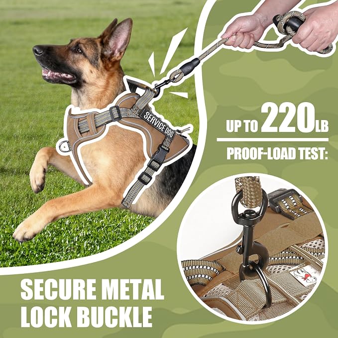 Service Dog Tactical Vest Harness and Leash Set Large Sized Dog Emotional Support- Tactical Dog Harness Training Collar with Name (Khaki, S)