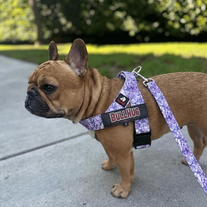 BULLHUG Adjustable Dog Harness– No Pull, No Choke – for English Bulldogs, French Bulldogs, Pugs & Broad-Chested Breeds – Easy, Safe Walks (Purple Floral, XL)