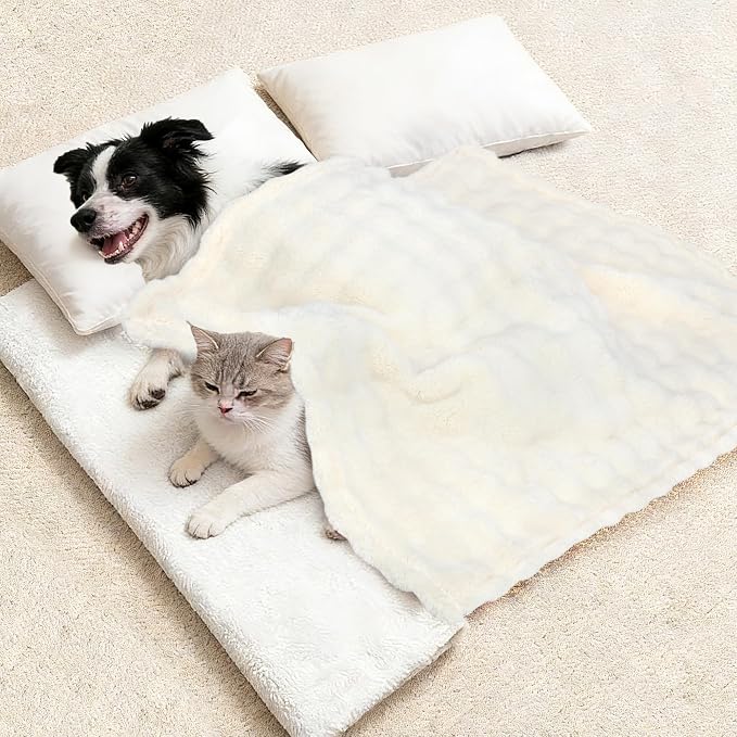 Dog Blankets Washable Pet Blanket - Fluffy Fuzzy Cat Puppy Blanket with Premium 300GSM 3D Fleece Bubble for Pet Kitten Doggy, Cream, 30x40IN