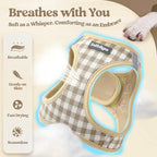 rabbitgoo Dog Harness Small Sized and Leash Set, Step-in Puppy Pet Vest | Light, Soft, Breathable Air Mesh, Easy on and Remove with Hook & Loop, Secure Reflective for Walking, Beige Check S