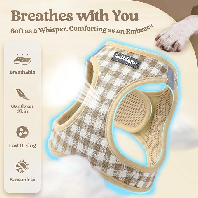 rabbitgoo Dog Harness Small Sized and Leash Set, Step-in Puppy Pet Vest | Light, Soft, Breathable Air Mesh, Easy on and Remove with Hook & Loop, Secure Reflective for Walking, Beige Check S