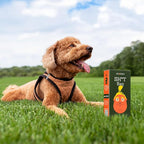 Dog Poop Bags Rolls, Unscented, Leakproof, Stable Genius, 60 Bags | The original viral bag — 4 pet waste refills, 15 per roll, easy tear-off. Unscented, 4 Rolls