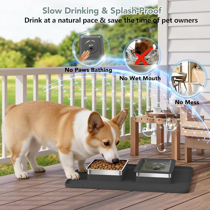 Dog Bowl Set, No Spill Dog Water and Food Bowl with Silicone Mat | Large Capacity 304 Stainless Steel Bowls, 2-In-1 Set, Slows Drinking, Anti-Slip Silicone Feeding Mat, Home/Travel, 6-7 Cups