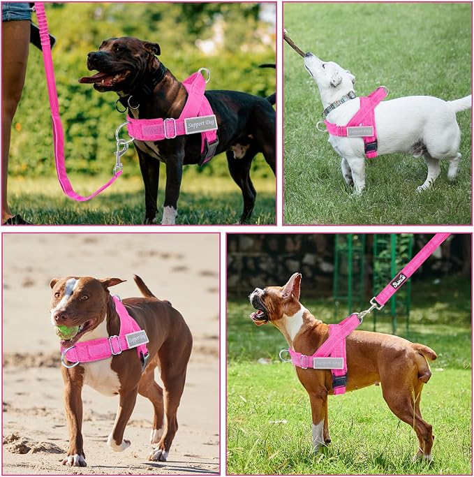Lukovee No Pull Dog Harness and Leash Set - Adjustable Soft Padded Vest with Front Clip for Easy Control, Reflective Durable Harness for Safe Daily Training Walking for Medium Large Dogs (L, FU)