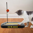 Cats Scratcher NCAA Iowa Hawkeyes Basketball Court CAT Scratcher Toy with Catnip Filled Plush Basketball Toy & Feather Cat Toy Hanging, with Jingle Bell Interactive Ball Cat Chasing 5-in-1 Kitty Toy
