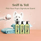 PAWFUME Deshedding Dog Shampoo and Conditioner, Show Dog, 1-Pack – Nourish & Detangle for Silky Soft Coat – Probiotic, Deep-Cleaning, pH-Balanced Formula – Salon-Quality Shampoo for Dogs