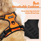 rabbitgoo Dog Harness, No Pull for Large Dogs with 2 Leash Clips, Pet Vest | No Choke with Handle, Adjustable Soft Padded, Reflective, Easy Control for Walking, Orange, Large