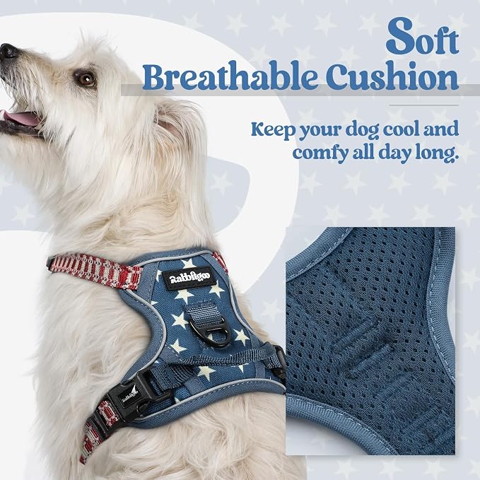 rabbitgoo Dog Harness, No Pull for Small Dogs with 2 Leash Clips, Pet Vest | No Choke with Handle, Adjustable Soft Padded, Reflective, Easy Control for Walking, Blue Star, X-Small