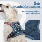 rabbitgoo Dog Harness, No Pull for Small Dogs with 2 Leash Clips, Pet Vest | No Choke with Handle, Adjustable Soft Padded, Reflective, Easy Control for Walking, Blue Star, X-Small