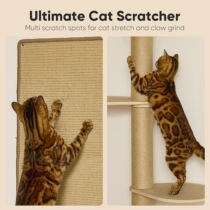 FUKUMARU Cat Wall Shelves, 4 in 1 Set, Beige | Stable Wooden Wall-Mounted Furniture Set, Climbing Tree with Hammock, Bed, Perch and Scratching Mat