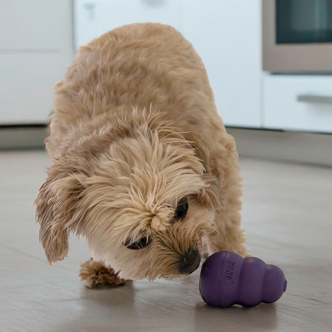 KONG Senior - Dog Toy with Gentle, Natural Rubber - Durable Dog Toy for Older Dogs - Use Treats with Stuffable Chew Toy - Treat Toy for Chewing & Fetching - for Small Dogs